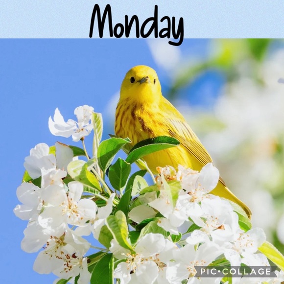 ⭐️MONDAY SHARE GROUPS⭐️ - Picture 3 of 6